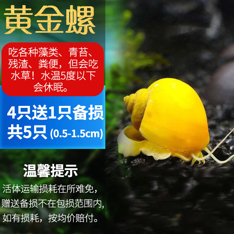 斑马苹果版斑马视频苹果版叫什么