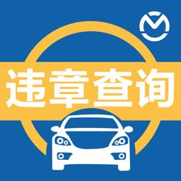 河北公安交管网违章查询手机版河北交管网12123违章查询网-第2张图片-太平洋在线下载