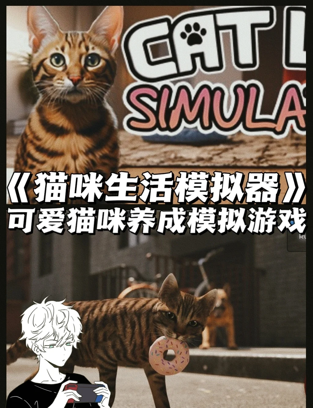 猫咪模拟安卓版七猫免费小说安卓版下载-第2张图片-太平洋在线下载